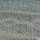 IMG_0797